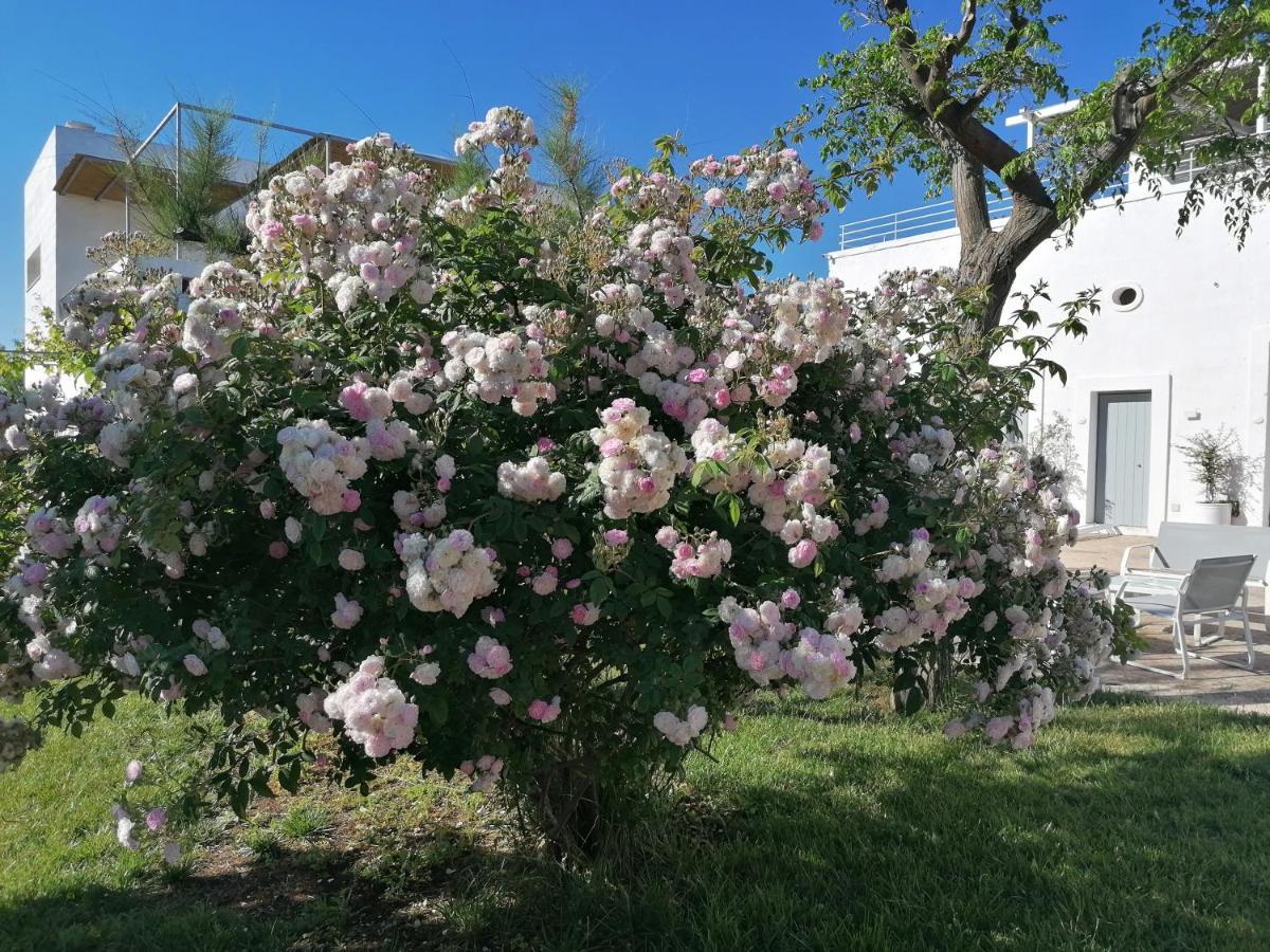 B&B Don Giovanni Monopoli Bagian luar foto