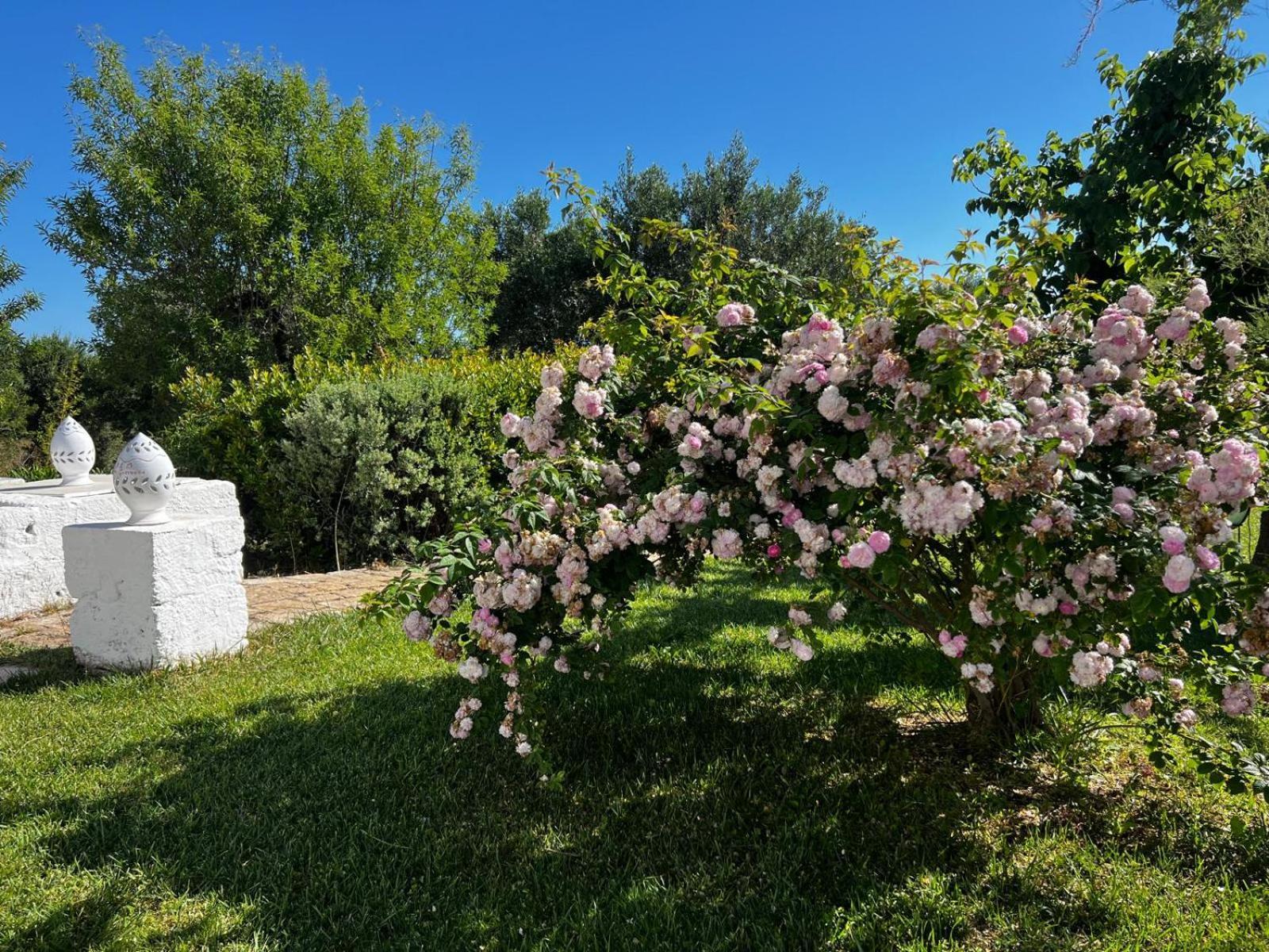 B&B Don Giovanni Monopoli Bagian luar foto